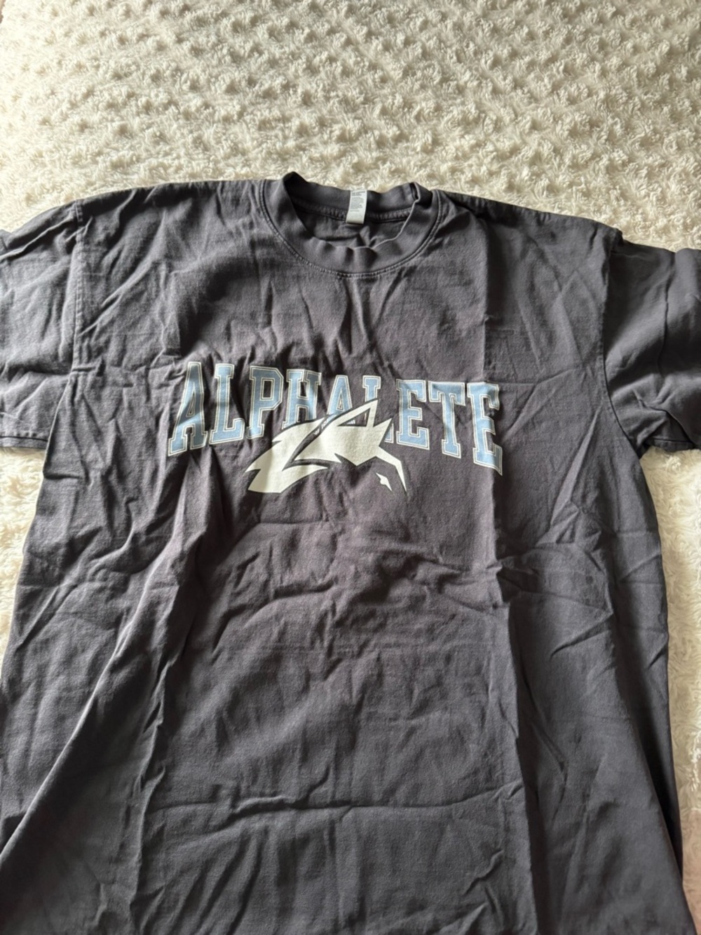 Alphalete Graphic Tee